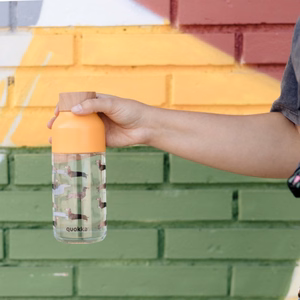 Quokka Ice Ecozen ūdens pudele, 570 ml, Taksis