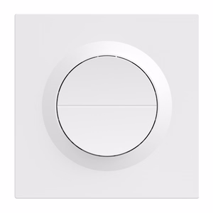SONOFF MINI-ZB2GS-E ZigBee Dual Channel Wall Switch.