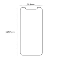 Aizsargstikls 2,5D iPhone XS Max / 11 Pro Max