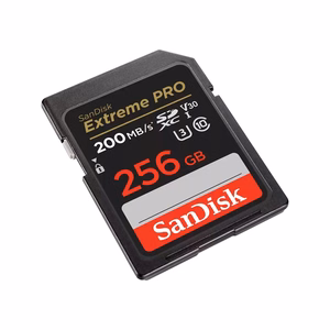 SDXC atmiņas karte SANDISK 256GB UHS-I SDSDXXD-256G-GN4IN