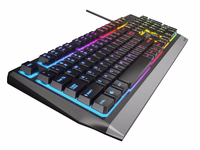 GENESIS Rhod 300 RGB keyboard Gaming USB QWERTY English melns