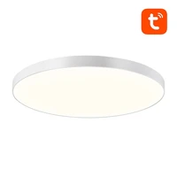 Gudrā griestu lampa 30cm Bluetooth 16M RGBCW Gosund LB13 1600lm Tuya + tālvadības pults.