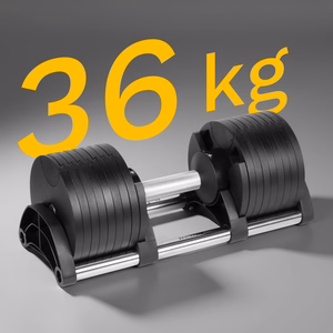 REBEL ACTIVE regulējama čuguna hantele, 36 kg, regulēšanas solis 2 kg