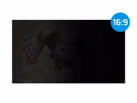 Natec Owl privātuma filtrs 27" 16:9