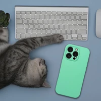 Silikona 2 mm viedtālruņa apvalks IPHONE 15 Pro Max, saderīgs ar MagSafe, piparmētru krāsas