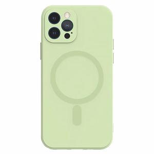 TEL PROTECT Magnētiskais silikona apvalks Iphone 11 Pro piparmētru krāsas