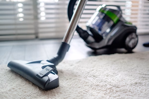 Bezmaisa putekļsūcējs TEESA VACUUM GREEN
