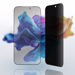 AmazingThing Radix privātuma aizsargstikls iPhone 17