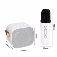 Blavec portatīvais Bluetooth skaļrunis WS-07 Karaoke Party 5W ar 2 mikrofoniem balts