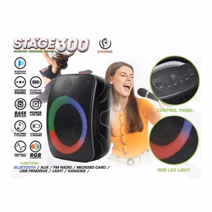 Rebeltec Bluetooth skaļrunis STAGE 300 melns