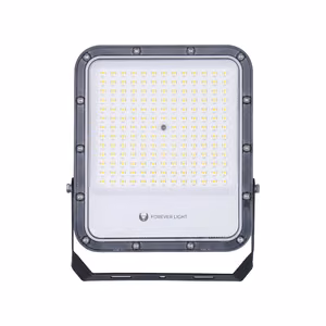 Floodlight LED PROXIM+ 100W 4000K 15000lm 230V IP65 Forever Light 150lm/W 5 years warranty