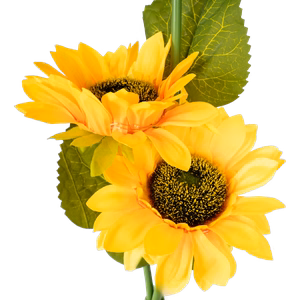 Rebel decorative solar garden lights, sunflower