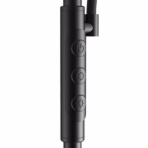 Divkārša grīdas lampa ar pulti BlitzWill BWL-FL-0001, 36W (melna)