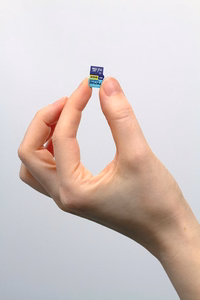 GOODRAM microSDXC 256GB V30 UHS I U3 RIVAL + adapteris