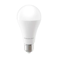 Forever Light LED Bulb E27 A65 17W 2100lm 3000K class E