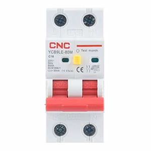 Residual Current Breaker ar Over-Current 2P, 16A, class C, 30mA, 6kA