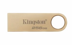 Kingston Technology DataTraveler 256GB 220MB/s metāla USB 3.2 Gen 1 SE9 G3