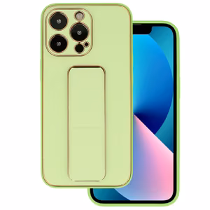 Tel Protect Leather Luxury Stand кожаный чехол-подставка для iPhone 11 Pro мятный
