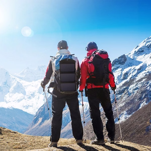 Choetech SC001 saules bateriju salokāms lādētājs 19W 2x USB-A - melns