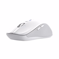 Trust 25674 mouse Universal Ambidextrous Bluetooth 3200 DPI