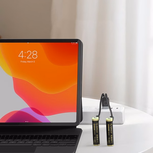 Orico Ener-G EG7C AAA Lithium Battery 1.5V 500mWh USB-C Rechargeable Battery with Charging Cable 2 pcs.