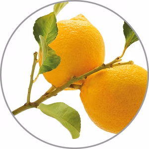 Medisana aromātiskā esence Citrons