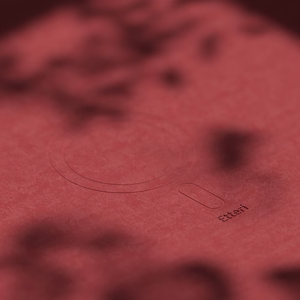 Etteri Silikona mag futrālis iPhone 16 Plus 6,7" aveņu krāsā