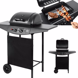 Teesa BBQ 2000 gāzes grils, 2 degļi