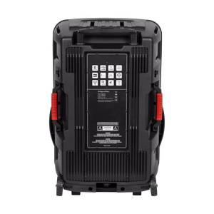 60 W aktīvā skanda ar 2 bezvadu UHF mikrofoniem, SD, Bluetooth, FM, USB un LED