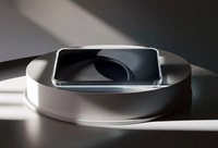 Clear Guard Magnētiskais viedtālruņa apvalks iPhone 12 6,1" caurspīdīgs