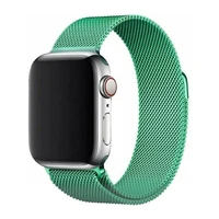 Magnētiskā siksniņa Apple Watch 45mm - piparmētru