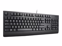 Lenovo Preferred Pro II USB tastatūra US/INT