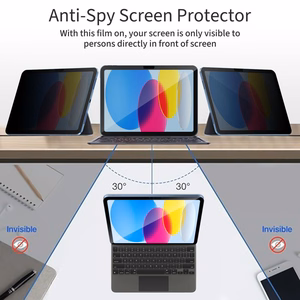 Tech-Protect Glass Spy+ privātuma stikls iPad 10.9” 2022 / iPad 11” 2025