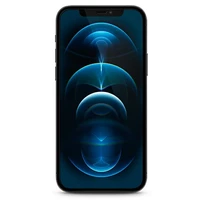 Guess aizsargstikls GUSPP12LSLTR iPhone 12 Pro Max 6.7" Vintage Magic Logo