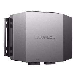 EcoFlow ģeneratora lādētājs Plus (5024301002) – 600 W