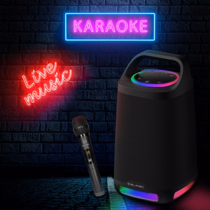 Blavec Portable Bluetooth Speaker TWS WS-01 Karaoke - 160W with microphone (WS01-MB) black (damaged packaging)