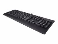Lenovo Preferred Pro II USB tastatūra US/INT