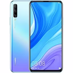 P Smart Pro 2019