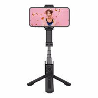 Gimbal Hohem iSteady Q