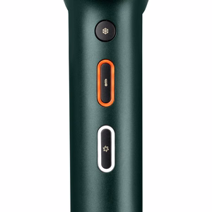 BaByliss Air Power Pro D6555DE – 1700 W joniskais matu fēns, zaļš / zelta