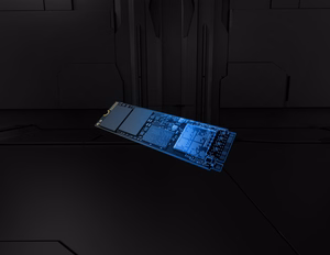 Kingston Technology 2T FURY RENEGADE G5 M.2 2280 NVMe SSD