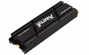 Kingston Technology 4000G RENEGADE PCIe 4.0 NVMe SSD ar dzesētāju