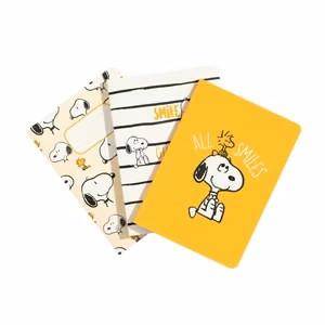 Snoopy Lazy Days A6 piezīmju grāmatiņu komplekts, 3 gab.
