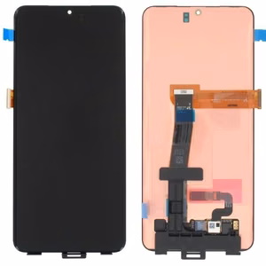 LCD ekrāns Samsung G988 S20 Ultra ar skārienjutīgo ekrānu (BEZ RĀMJA) oriģināls (service pack)