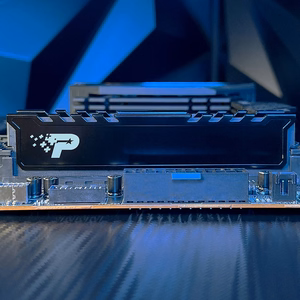 PATRIOT SIGNATURE PREMIUM DDR5 16GB