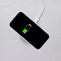 ROAR viedtālruņa apvalks SLIM DEFENDER IPHONE 16 Pro caurspīdīgs