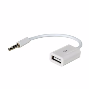 Akyga adapteris ar kabeli AK-AD-24 USB A (f) / mini Jack (m) 15cm