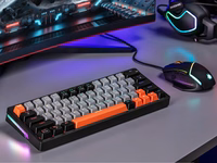 Mechanical keyboard Tracer GAMEZONE EVO1 HOT SWAP 63 (pelēks) TRAKLA47297