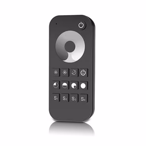 RT1 Remote Control, 1 Zone, Single-Color