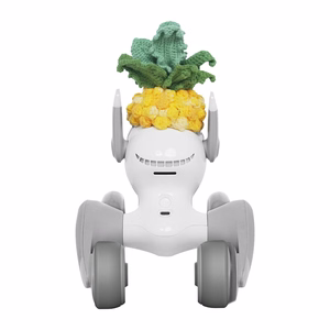 Adīts kostīms Loona Premium – ananāss